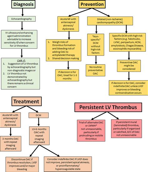 lv thrombus treatment guidelines